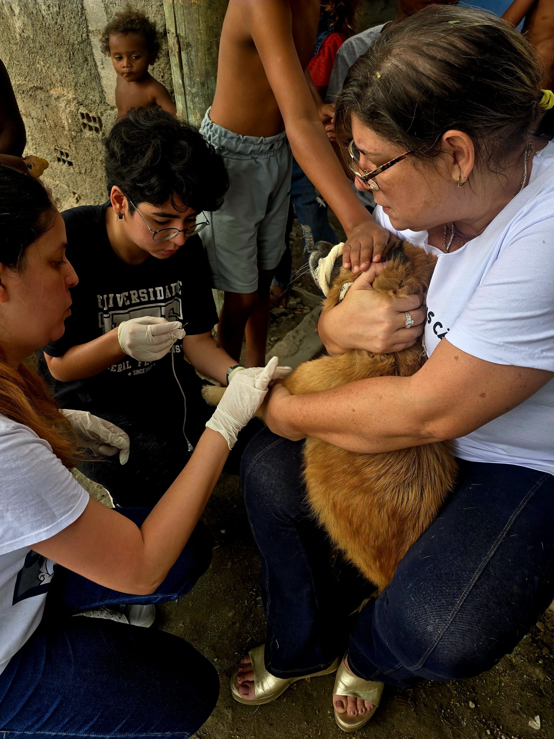 Support and care for animals belonging to people accompanied by ONG É Por Amor