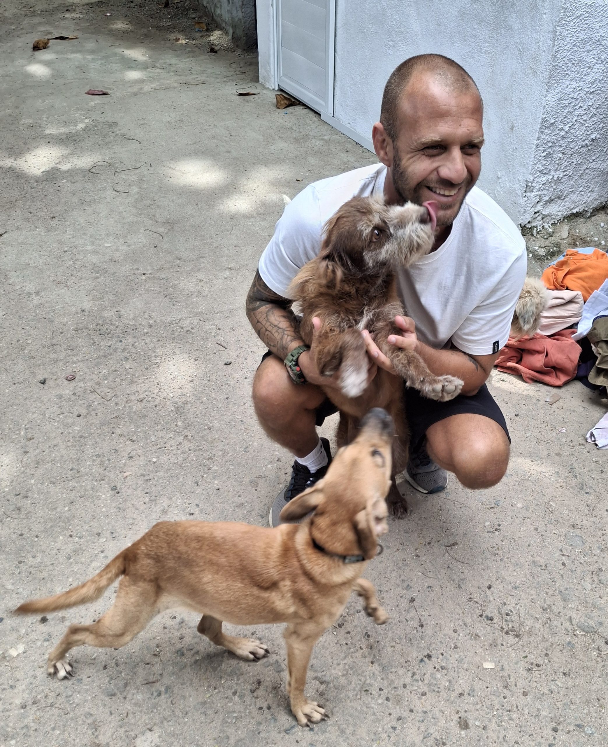 Support from the SOS Pets RJ project in animal care